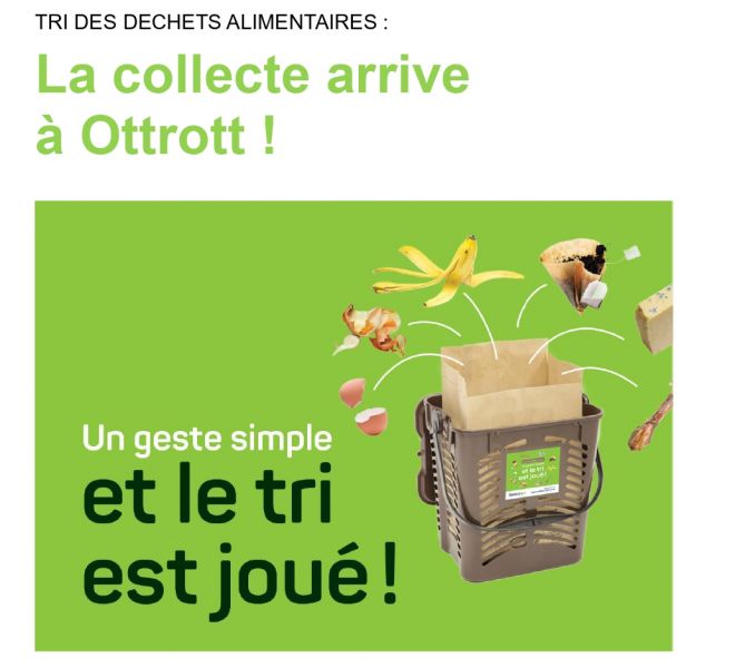 Tri des déchets alimentaires